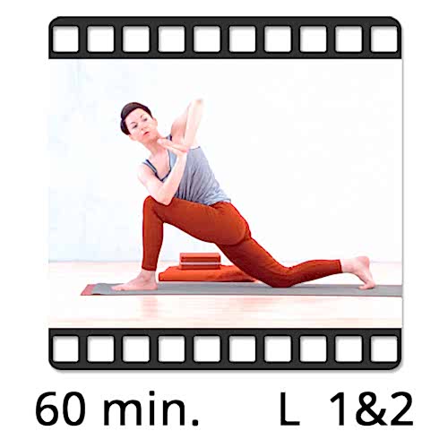 Yoga Video online Detox Flow