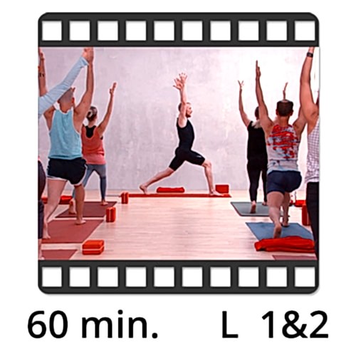 Yoga Video kaufen Fokus stehende Haltungen
