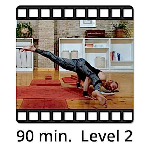 Download Yoga Video Power Vinyasa Flow Level 2 Victor Thiele