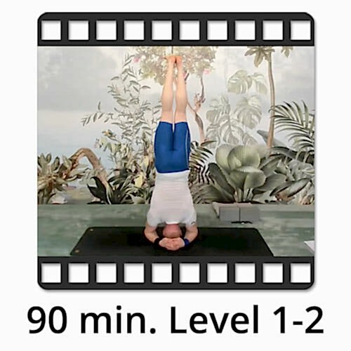 Download Yoga Video Power Vinyasa Flow Victor Thiele